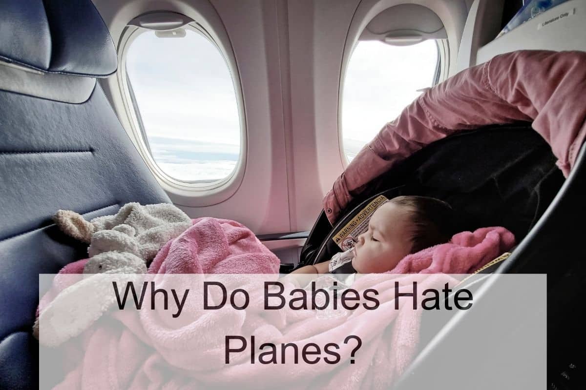 Why Do Babies Hate Planes?
