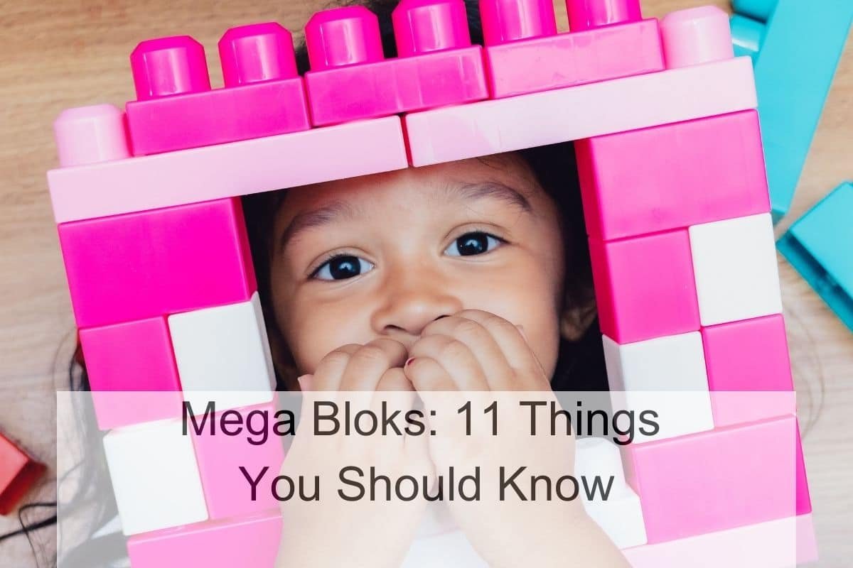 Mega Bloks: 11 Things You Should Know