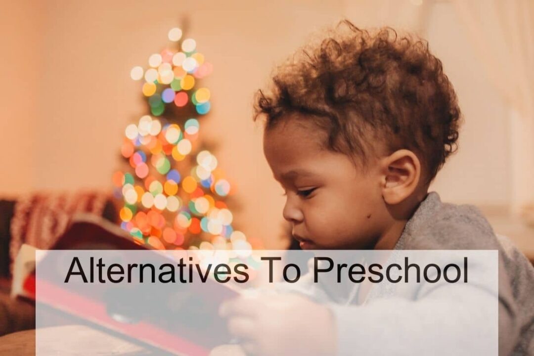 alternatives to preschool