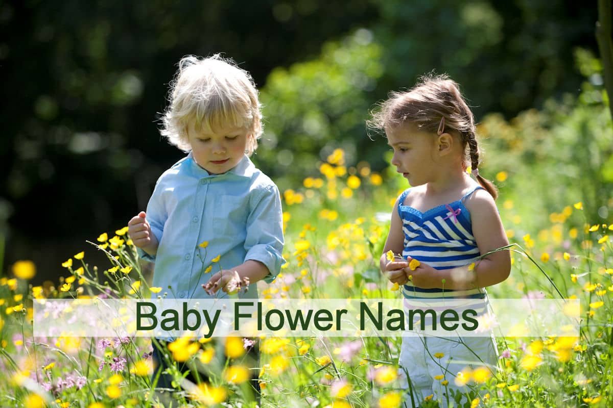 Beautiful Baby Flower Names
