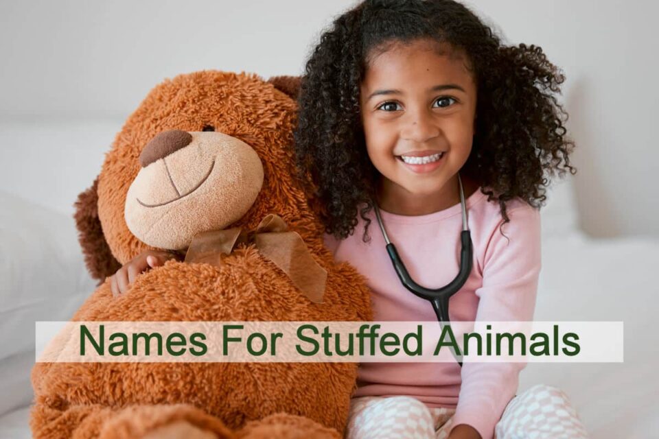 233-names-for-stuffed-animals-which-your-kids-will-love