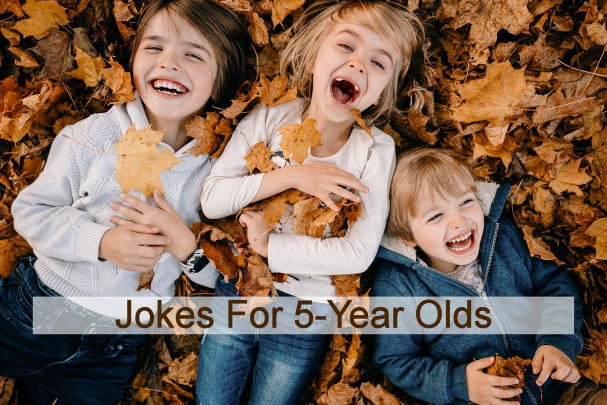 Silly Jokes For Kids Age 5