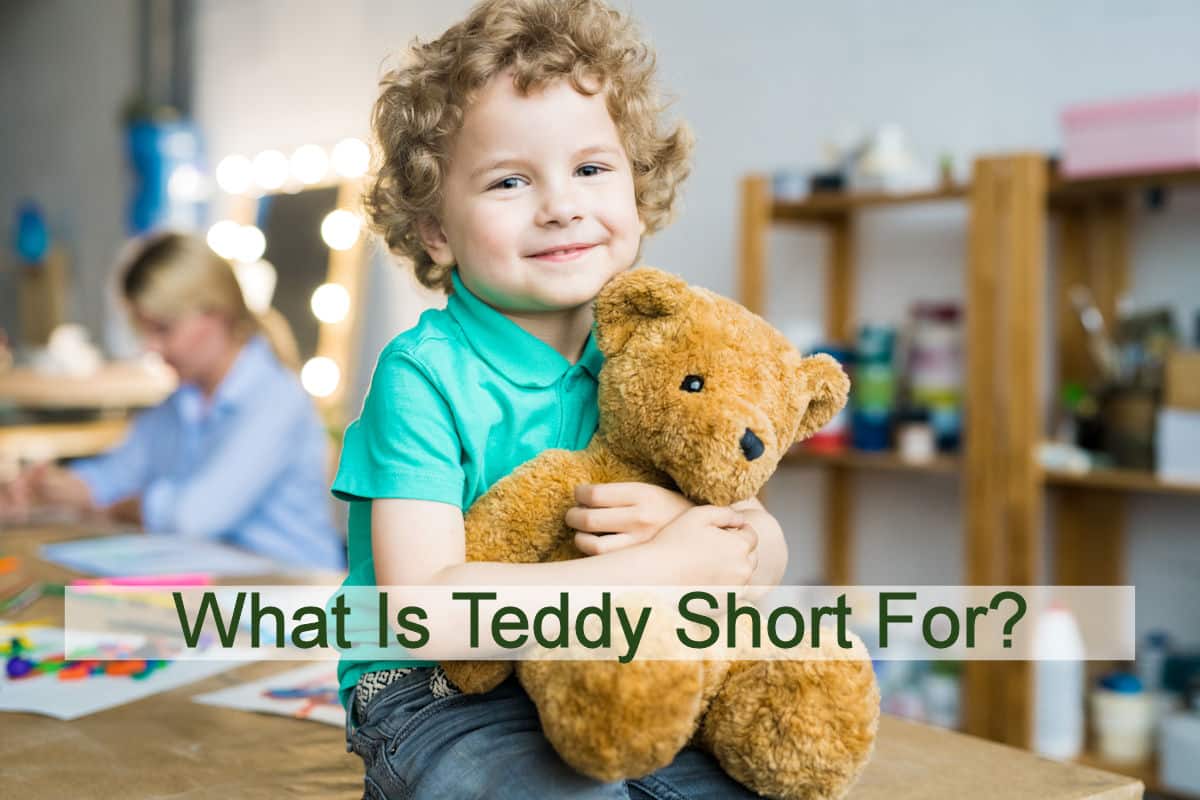 What Is Teddy Short For?